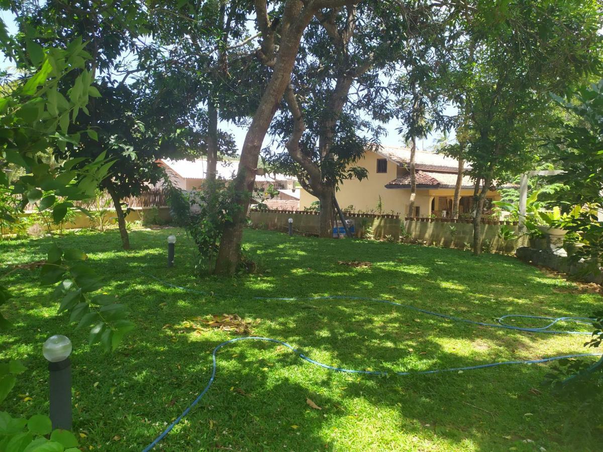 Cinnamon House Hiriketiya Dikwella Extérieur photo