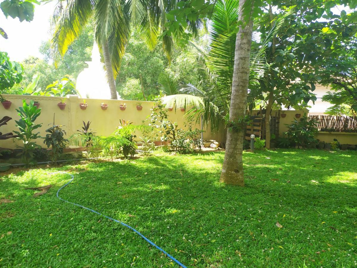 Cinnamon House Hiriketiya Dikwella Extérieur photo