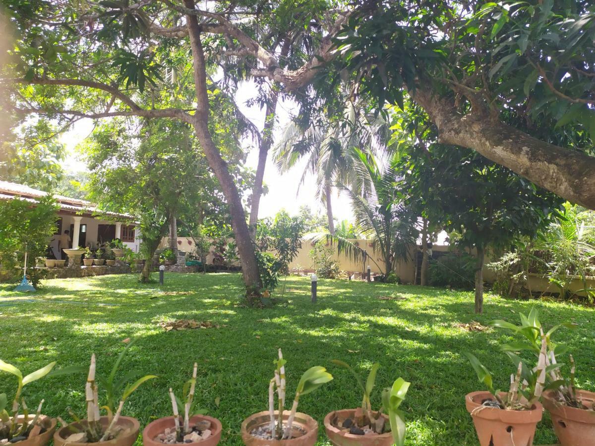 Cinnamon House Hiriketiya Dikwella Extérieur photo