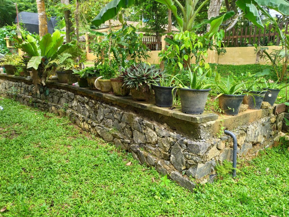 Cinnamon House Hiriketiya Dikwella Extérieur photo