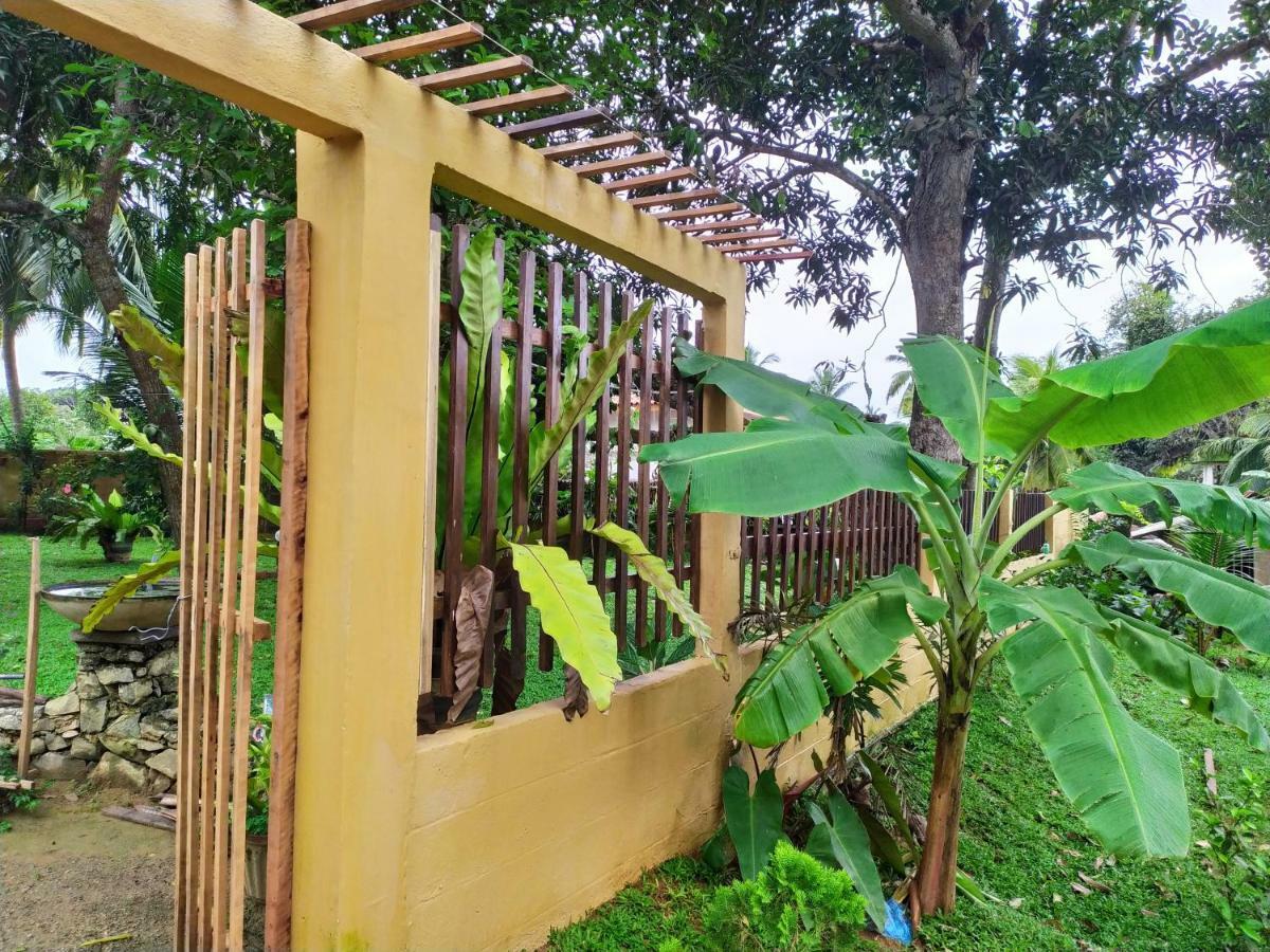 Cinnamon House Hiriketiya Dikwella Extérieur photo